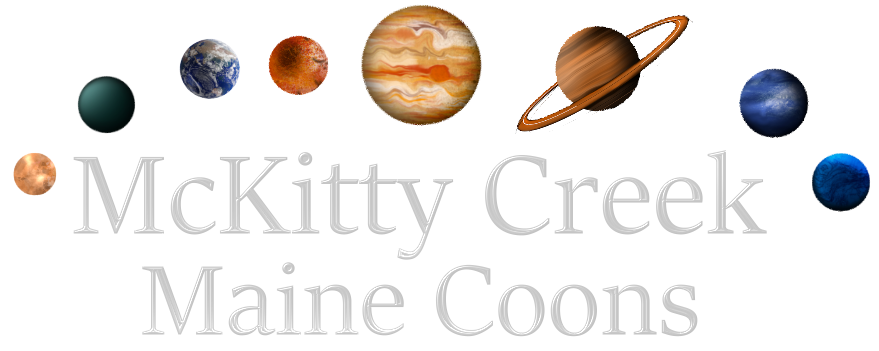 McKitty Creek Maine Coons